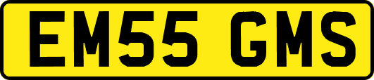 EM55GMS