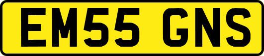 EM55GNS