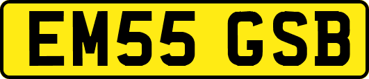 EM55GSB