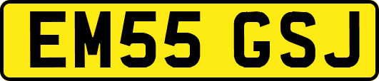 EM55GSJ