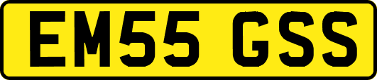 EM55GSS