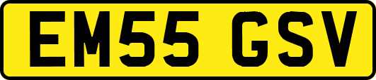 EM55GSV