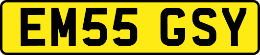 EM55GSY