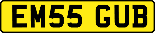 EM55GUB