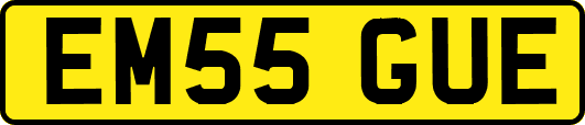 EM55GUE