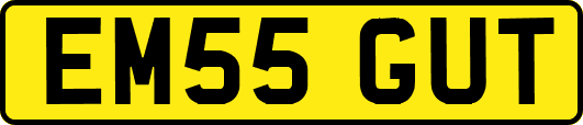 EM55GUT
