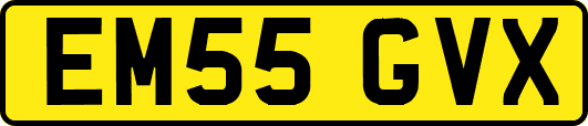 EM55GVX