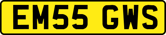 EM55GWS