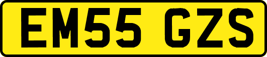 EM55GZS