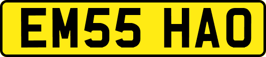EM55HAO