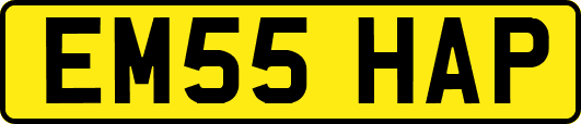 EM55HAP