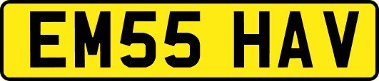 EM55HAV