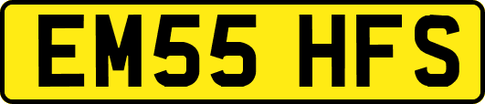 EM55HFS