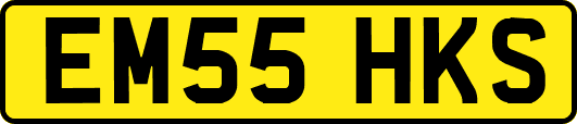 EM55HKS
