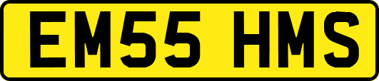 EM55HMS