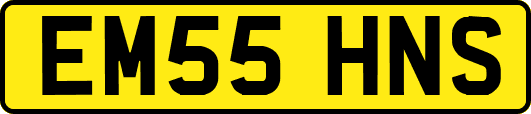 EM55HNS