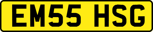 EM55HSG