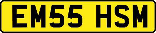 EM55HSM