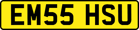 EM55HSU
