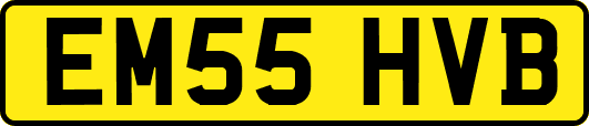 EM55HVB