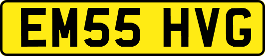 EM55HVG