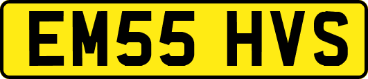 EM55HVS