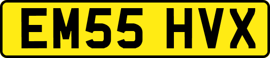 EM55HVX