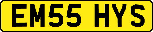 EM55HYS