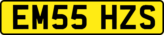 EM55HZS