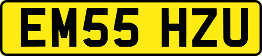 EM55HZU