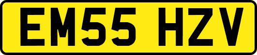 EM55HZV
