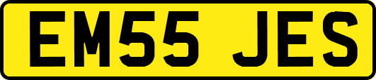 EM55JES