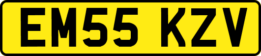 EM55KZV