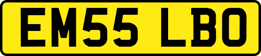 EM55LBO
