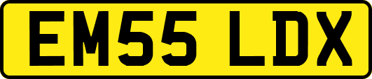 EM55LDX