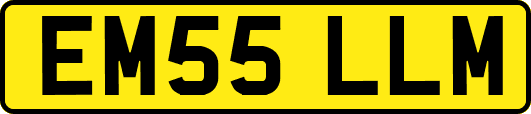 EM55LLM