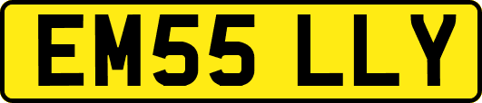 EM55LLY
