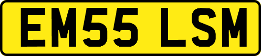 EM55LSM