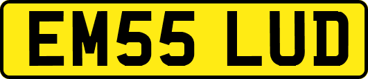 EM55LUD