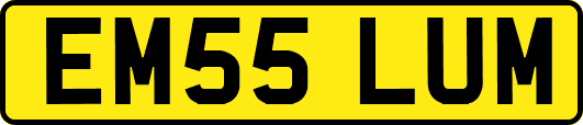 EM55LUM