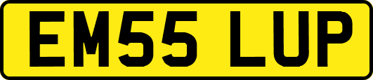 EM55LUP