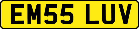 EM55LUV