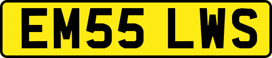 EM55LWS