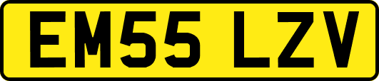 EM55LZV