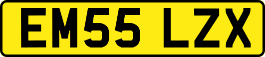 EM55LZX