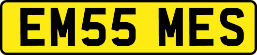 EM55MES