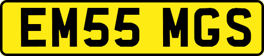 EM55MGS