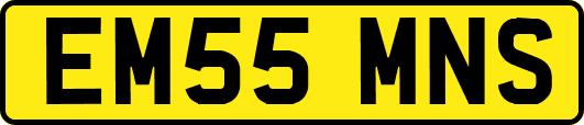 EM55MNS