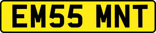EM55MNT