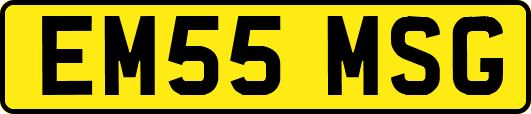 EM55MSG